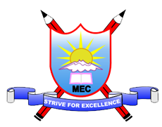 MEC Academy